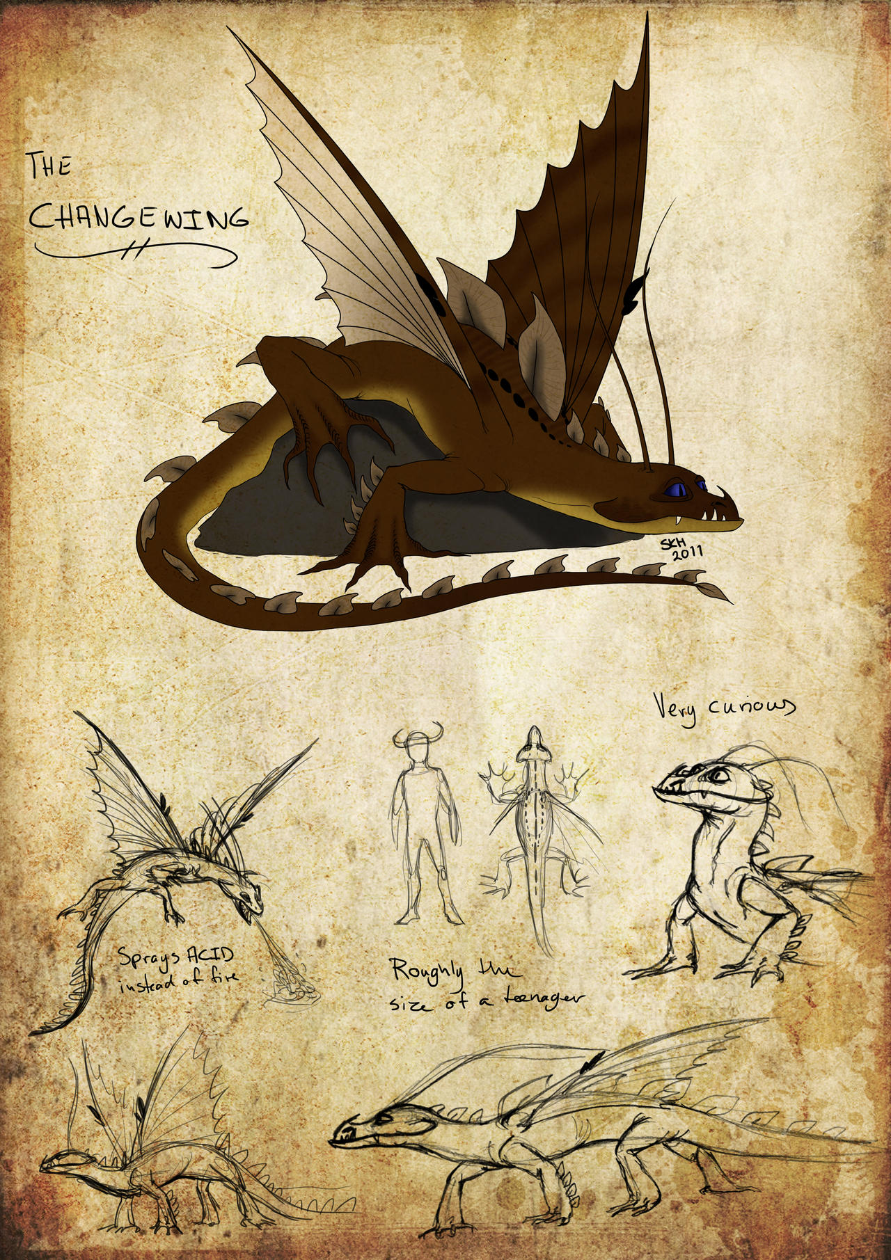 HTTYD: Changewing