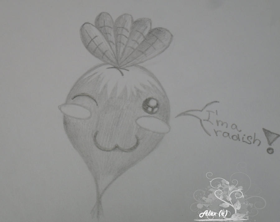 Doodlezzz- Radish