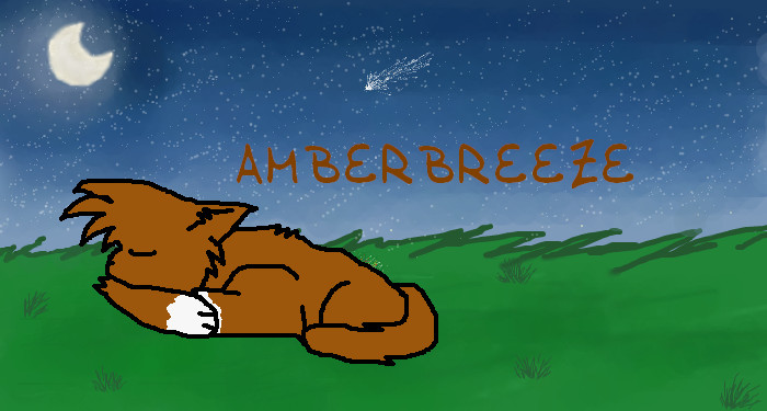 Amberbreeze