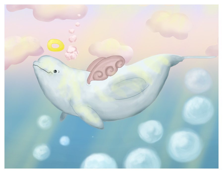 Baby Beluga By Sunshinenorcas On Deviantart Baby Beluga By Sunshinenorcas On Deviantart