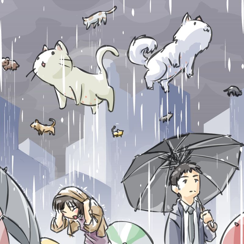 Raining Cats and Dogs by JohnSu on DeviantArt Raining Cats and Dogs by JohnSu on DeviantArt