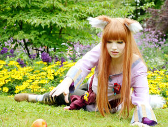 Horo Cosplay - Reaching out for...d apple *-*