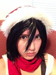 Merry Christmas from Miss Mikasa