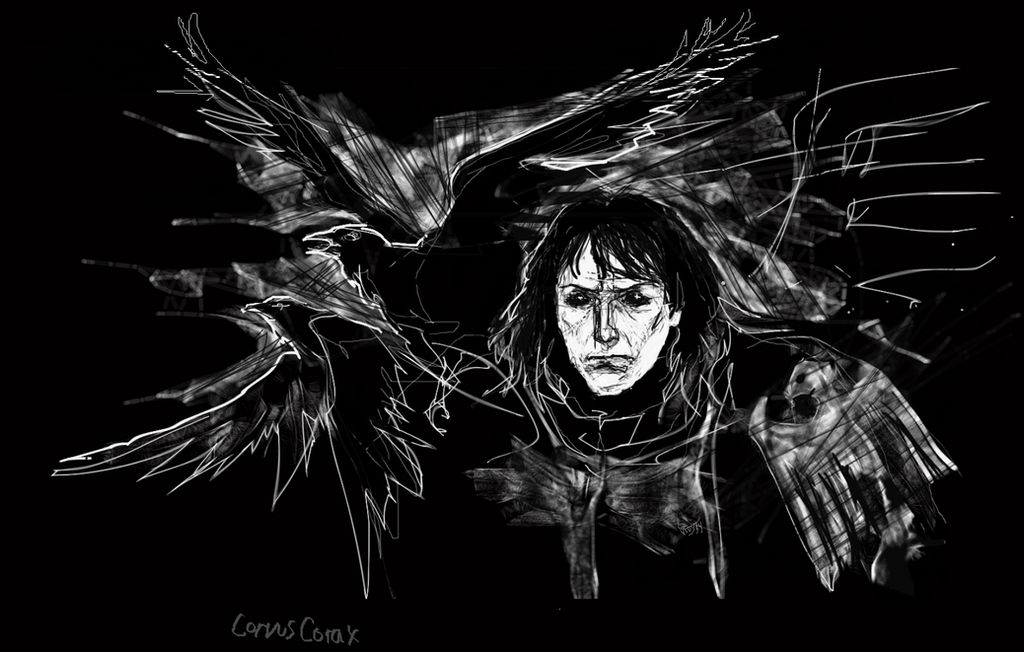 Corvus Corax By Brown Mouse55 On DeviantArt