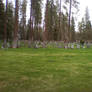 Cemetery 5