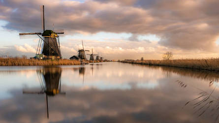 Unesco world heritage the Kinderdijk 