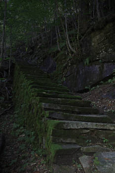 The stairs in the wood