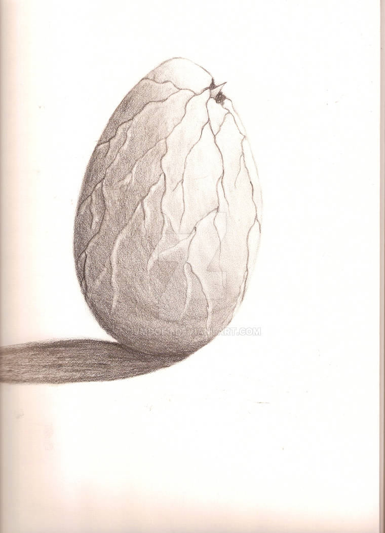 Hatching by JMDoll on DeviantArt