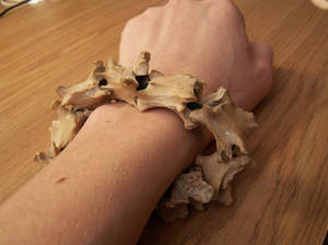 Vertebral Bracelet