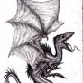 Dragon, Wyvern II