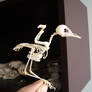 Tweety the Skeleton Bird