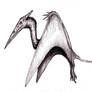 Conan - Pterosaur Dragon