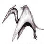 Conan - Pterosaur Dragon