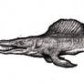 Spinocetus, Sea Monster