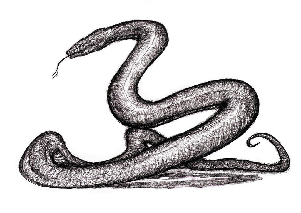 Giant Snake, Various, HP Basilisk by KingsOfEvilArt on DeviantArt