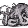 Kraken, Giant Octopus, St Augustine Monster