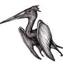 Conanopterus, Hyborian Pterosaur Dragon (Redesign)