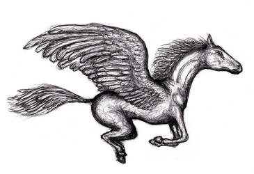 Pegasus, Winged Horse