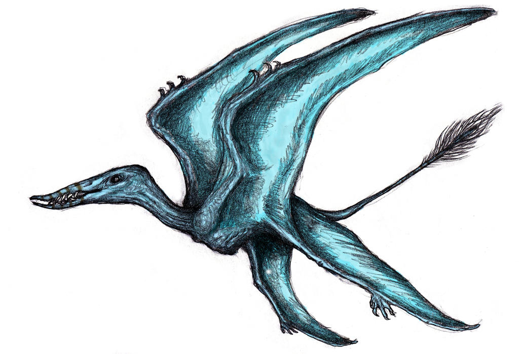 Dream Anisopterus, Four-Winged Pterosaur (Colored)