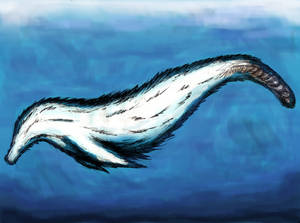 Explore best trunko art on DeviantArt