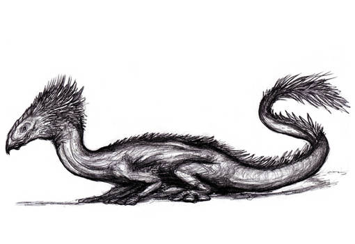 Varactyl Head Explore the Best Varactyl Art | DeviantArt