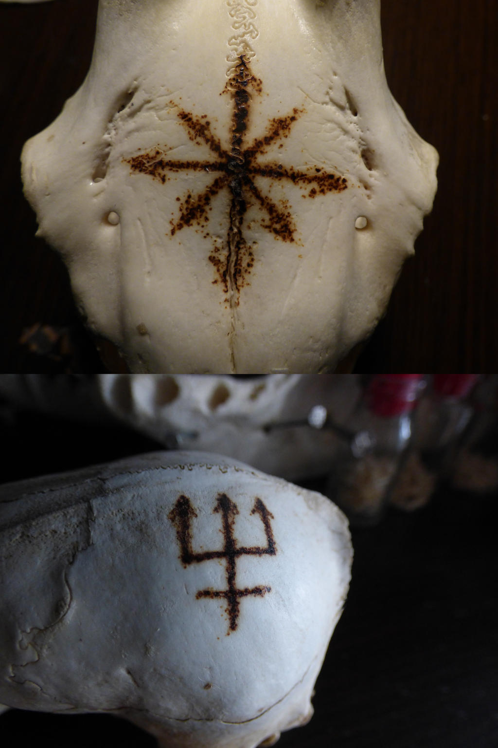 Bone Pyrography by KingOvRats on DeviantArt