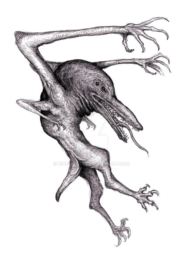 pterodactyloidea – Nix Illustration