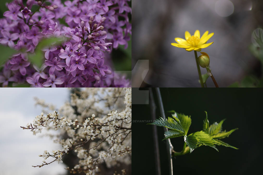 Spring Energy by KingsOfEvilArt on DeviantArt