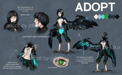 Feather Boy [ADOPT] - closed