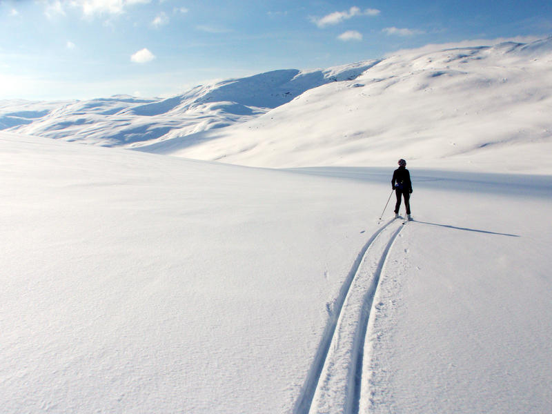 Jotunheimen