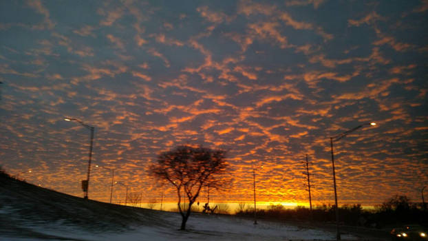 Rockford Illinois Serengeti Sunset 