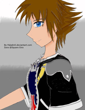 Sora Improvement Color