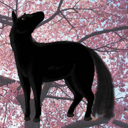 Black Horse and a Cherry Tree