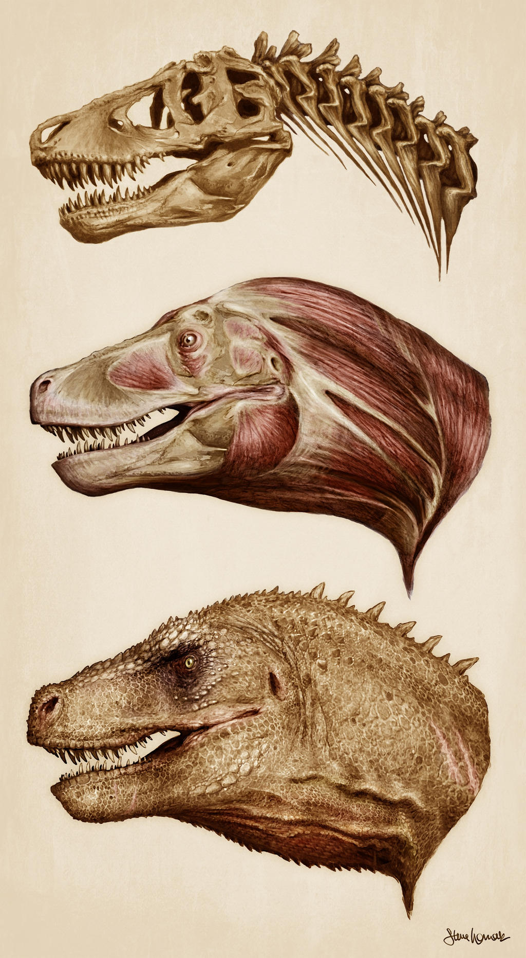 Rex By Microscope Rex Reconstructed by womackart on DeviantArt