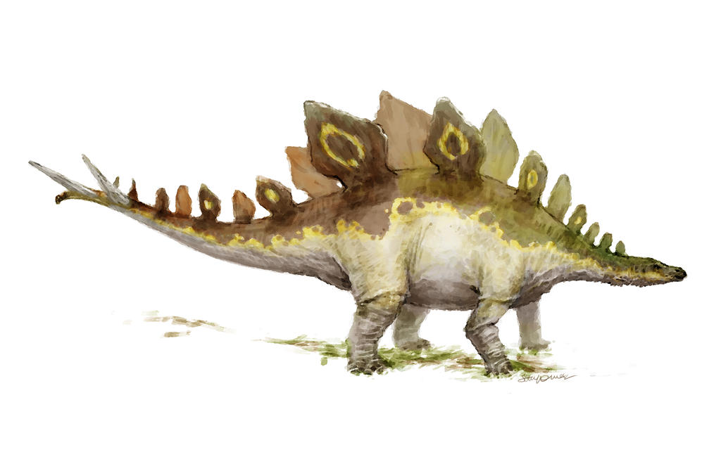 Stegosaurus