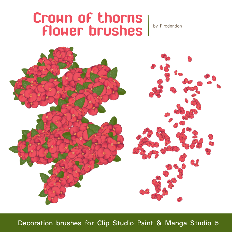 Free Crown of thorns flower Brushes