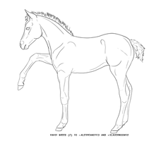 Vahsi Foal Lineart