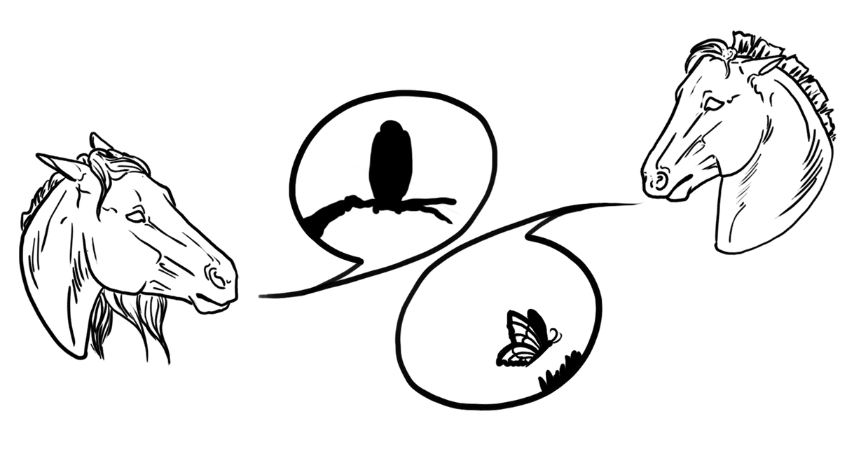 The Crow and The Butterfly by alexpeanut on DeviantArt