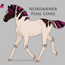 Nordanner Foal 7790