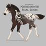 Nordanner Foal 9601