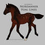 Nordanner Foal A1789