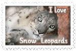 I love snow leopards stamp by Nameda