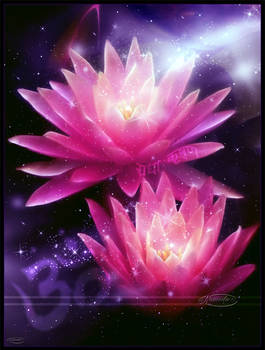 Lotus of the heart