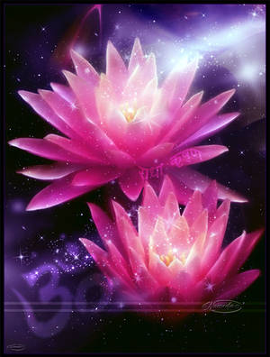 Lotus of the heart by Nameda Lotus of the heart by Nameda