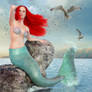 Ariel