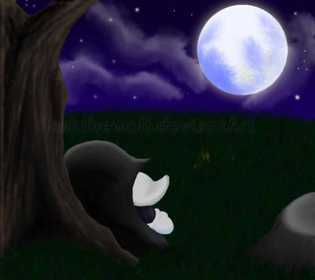 Stargazing