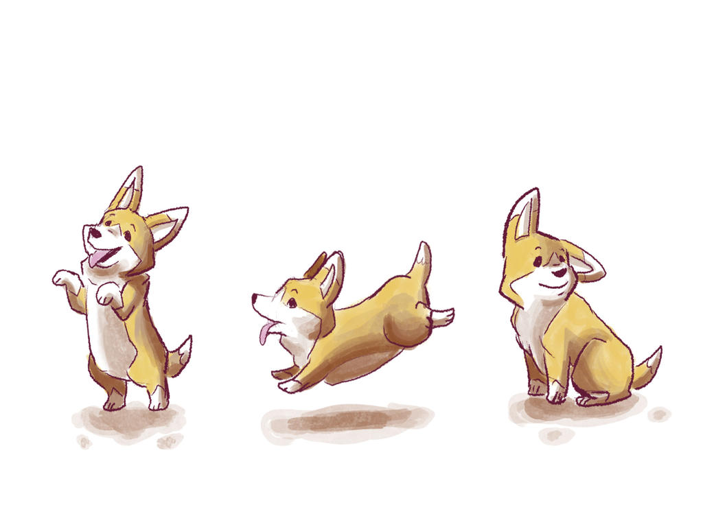Corgis