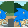 Hedgehog Attack