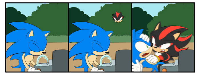 Hedgehog Attack