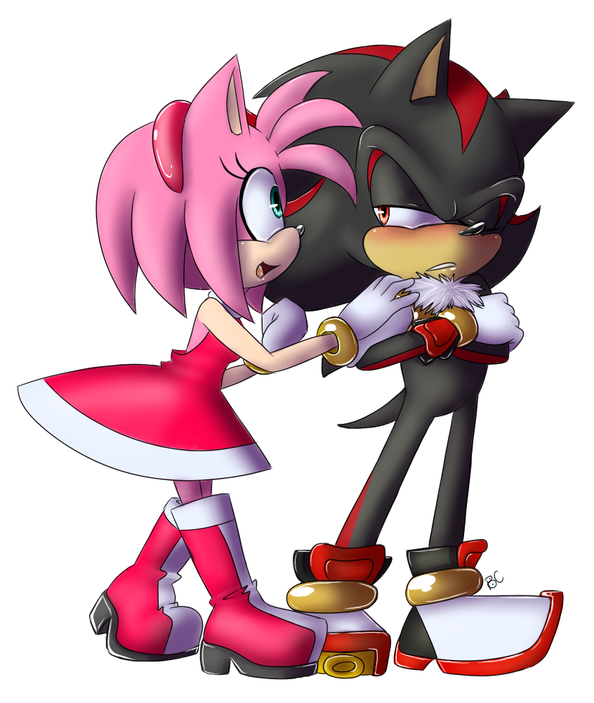 Amy Rose explain why she mistoke Shadow for Sonic : r/SonicTheHedgehog